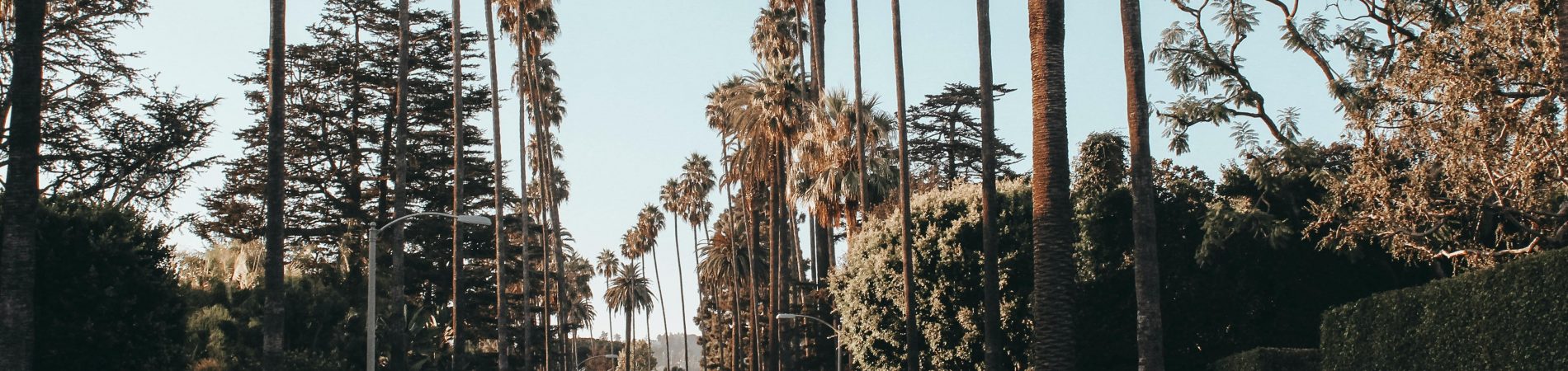 Étudier à Los Angeles - Bons plans by Carolinthecity